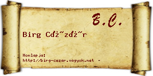Birg Cézár névjegykártya